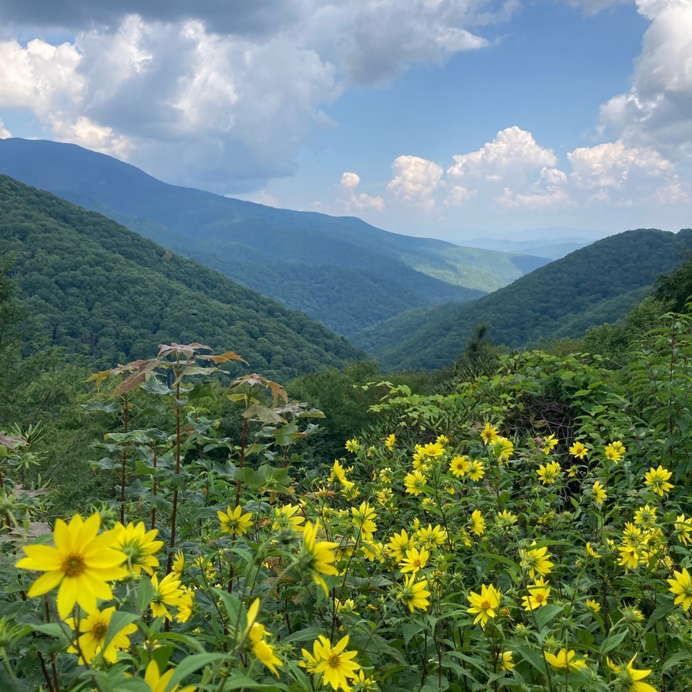 Meet your Posher, Selene